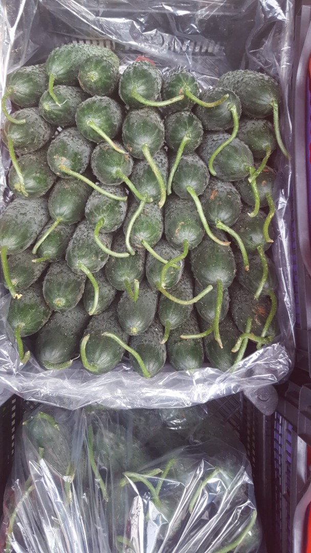 Pepinos