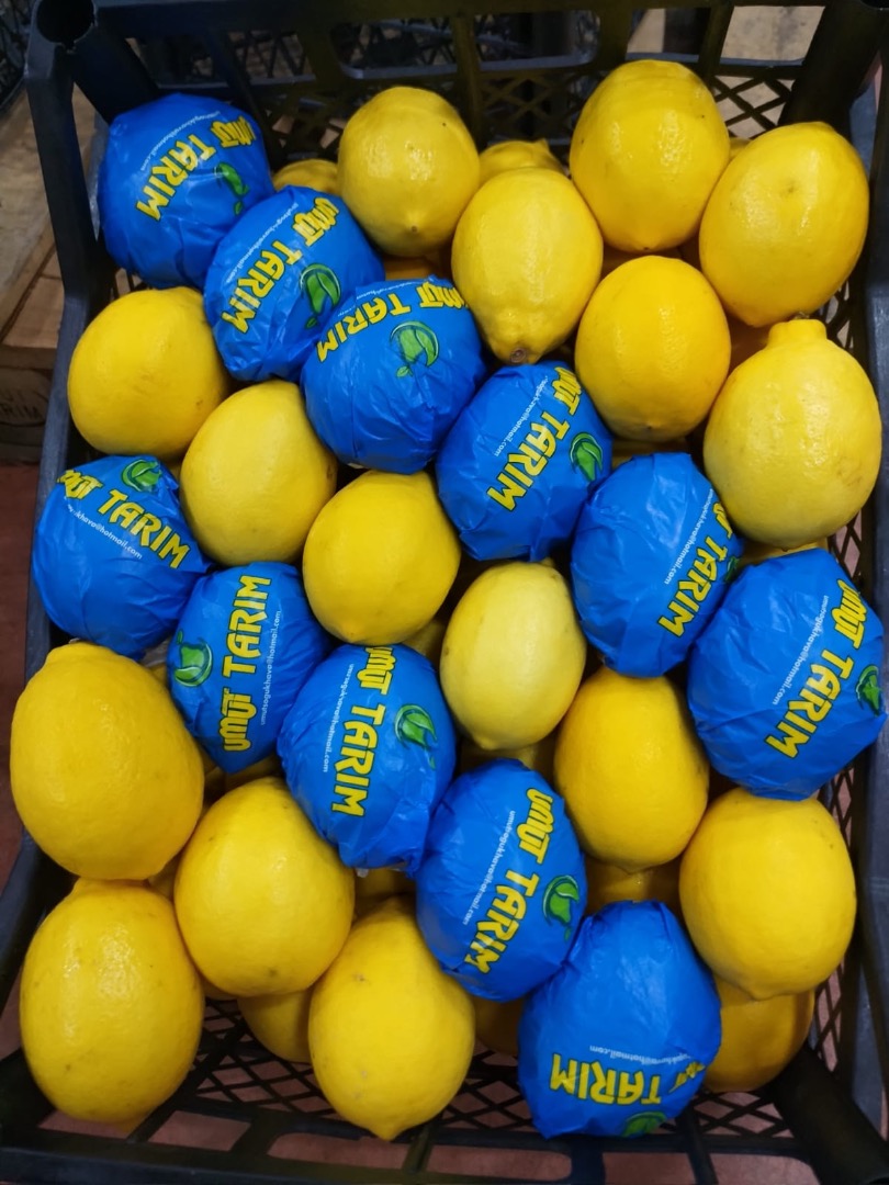 Tenemos muchos tipos de cítricos