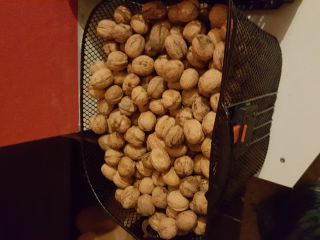 Nueces deliciosas a la venta