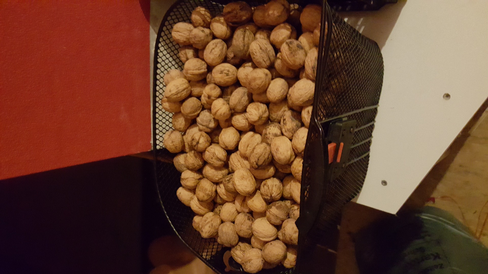 Nueces deliciosas a la venta