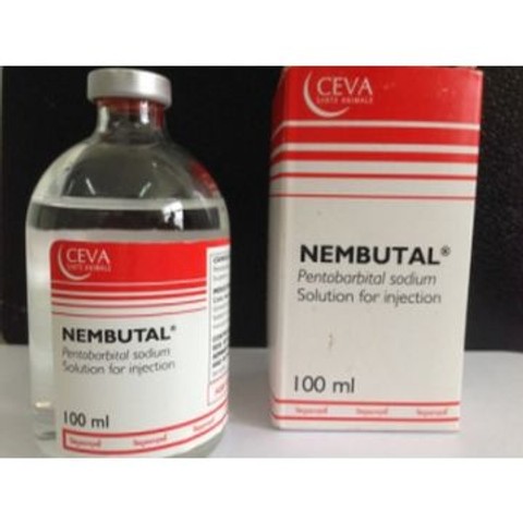 Nembutal Pentobarbital For Sale Compre pentobarbital sódico sin contacto recetado de un proveedor legítimo para obtener más detalles sobre cómo realizar un