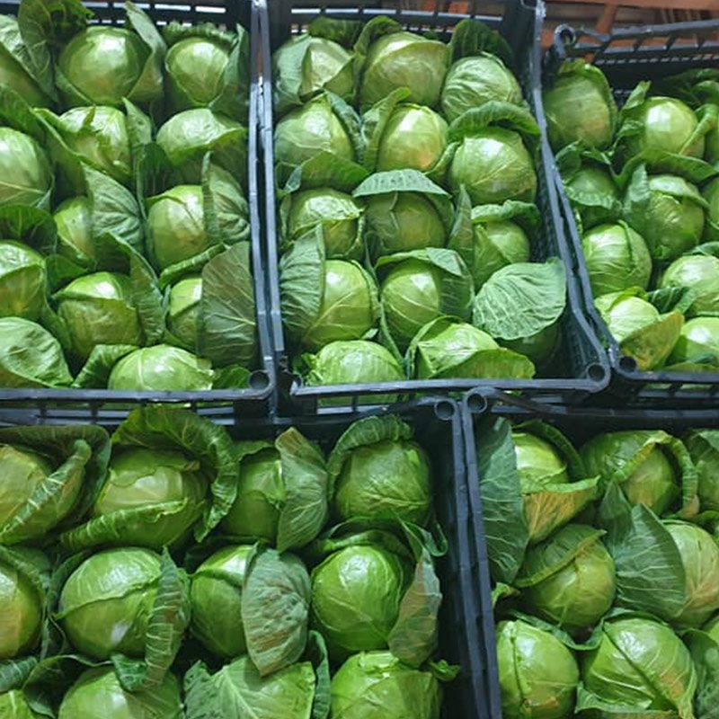 proviene de Albania y es un producto muy bueno