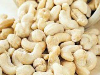 Distribuidor de procesamiento de nueces en África Oriental, exportamos
