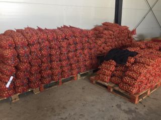 FERMA POMICOLA LUCA SRL - Rumania Milotai 10 Cantidad