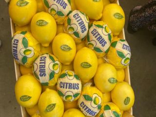 Vender limón Enter (hecho en Turquía) Certificado de Calidad