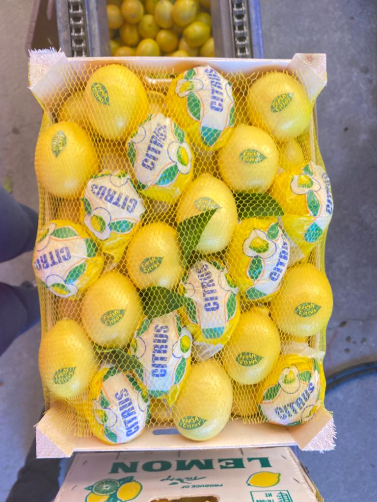 Venta de limón Mayer (hecho en Turquía) Certificado de Calidad Precios FCA-Antalya $ 0.45 / kg Embalaje a pedido del cliente: papel, cartón, madera