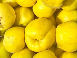 Membrillo de oro
