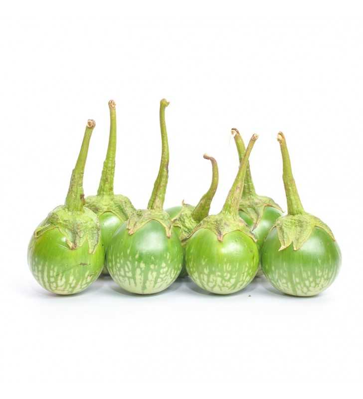 La berenjena tailandesa, o berenjena como a veces se la conoce, es una variedad de la berenjena Kermit y viene en una variedad de colores diferentes