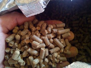 Tengo variedades de lúpulo de hierbas para vender -Marynka,