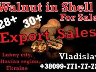 Información corta Vladislav habla ruso Denis habla inglés Fotos