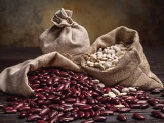 Comercio de frijoles de calidad La empresa Beans Natur
