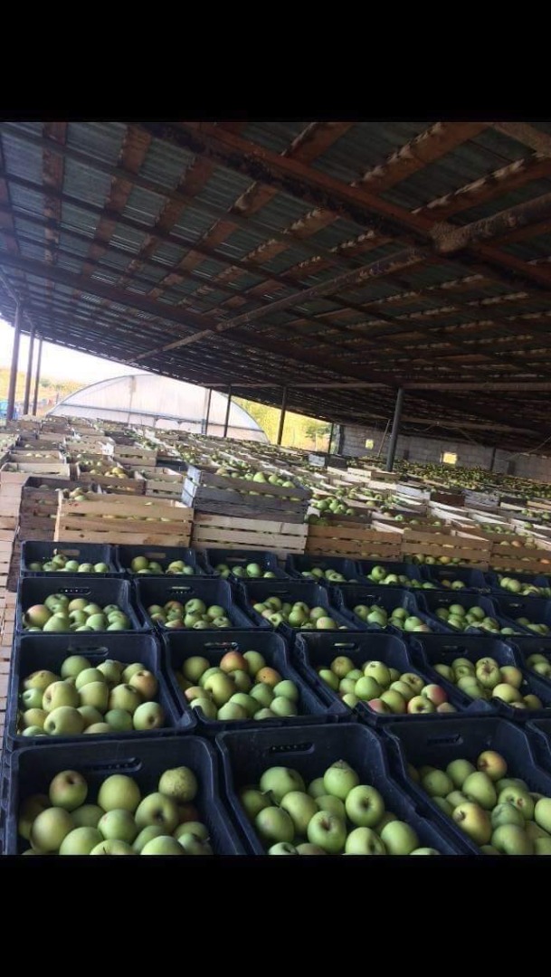 Manzanas que superan a la propia manzana del Edén!
