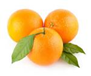 Frutas como naranjas y verduras como cebollas productos de Egipto Estimados señores, NOBIA Trading for Import & Export Co