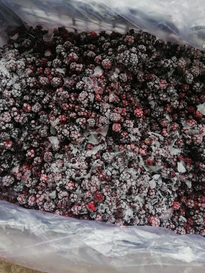 moras congeladas y fresas congeladas, frutas congeladas higos congelados membrillo congelado para mermeladas y helados y destilerías