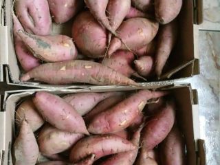 patatas dulces