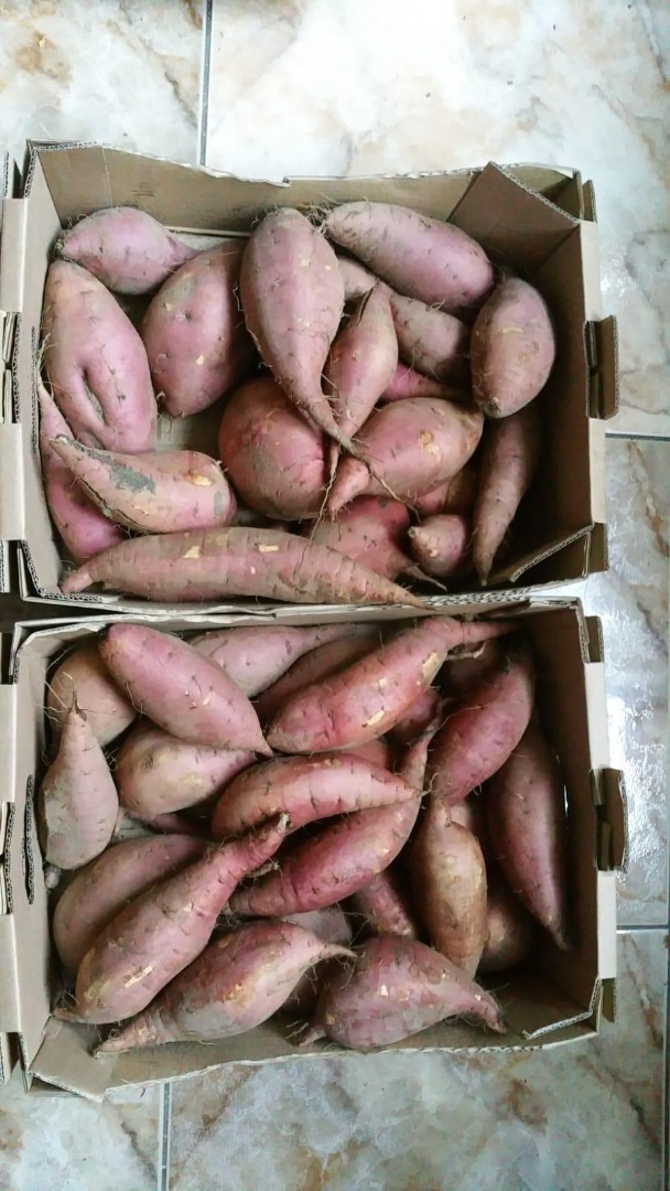 patatas dulces