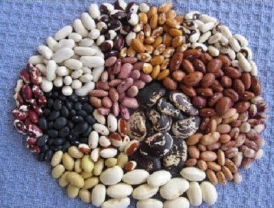 Frijoles de Ucrania La empresa ucraniana Beans Natur Product ofrece para comprar granos de alta calidad
