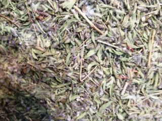 Tomillo 100% natural Ventas al por mayor en alto