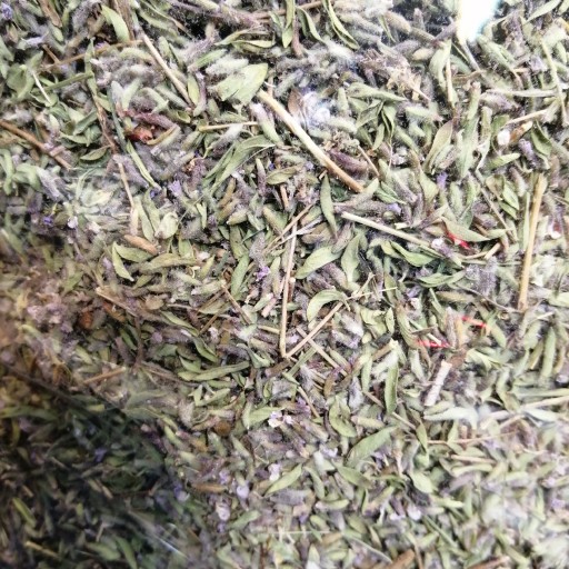 Tomillo 100% natural Ventas al por mayor en alto volumen
