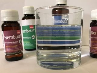whatsapp +1 (920) 430-0754 Nembutal Eutanasia | Pentobarbital a