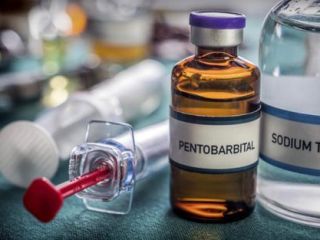 whatsapp +1 (920) 430-0754 Nembutal Eutanasia | Pentobarbital a