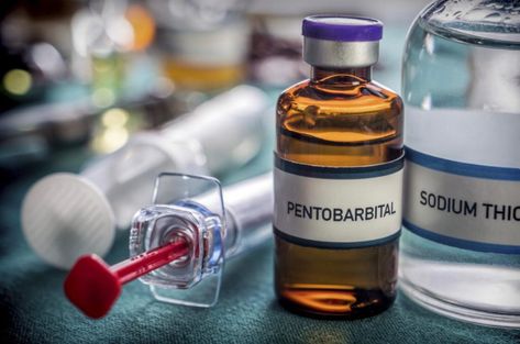 whatsapp +1 (920) 430-0754 Nembutal Eutanasia | Pentobarbital a la venta | Comprar no está en línea Ordene Nembutal (pentobarbital sódico)