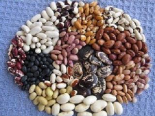 Variedad de granos de Ucrania La empresa ucraniana Beans