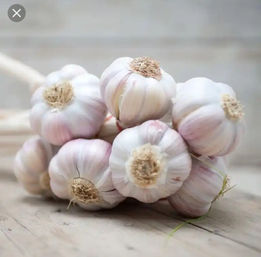 Ajo fresco o seco