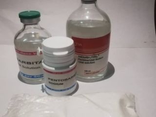 Ordene pentobarbital sódico legítimo (compre Nembutal en línea) ¿Qué