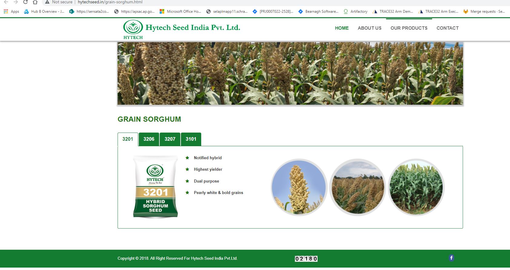 Granos de sorgo blanco 1000 quintas (100 toneladas) disponibles para la venta en Proddatur, Andhrapradesh, India-código pin: 516360 Tipo de grano: Redondo y de