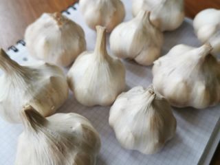 Señoras y señores, me gustaría vender unos 500 kg