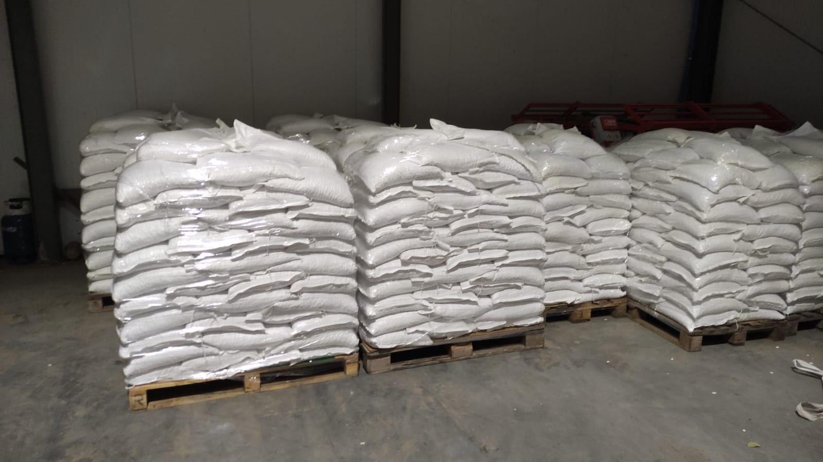Venderé cantidades al por mayor de frijoles enanos 100/135 piezas / 100gr