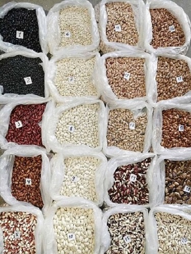 Granos en surtido para la venta Venta de frijoles