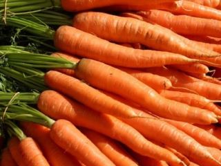 Rico en antioxidantes Puede proteger contra el cáncer La