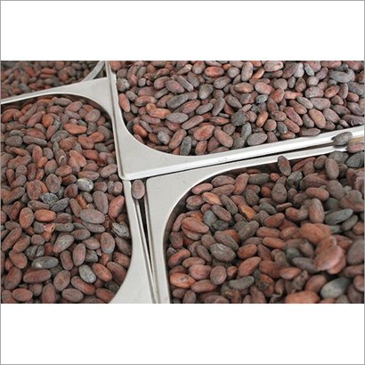Granos de cacao natural Estamos bien posicionados en el negocio como comerciante y exportador para satisfacer las exigentes necesidades de los clientes de