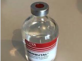 COMPRE NEMBUTAL ONLINE ( Correo electrónico: ( ) ¿Dónde