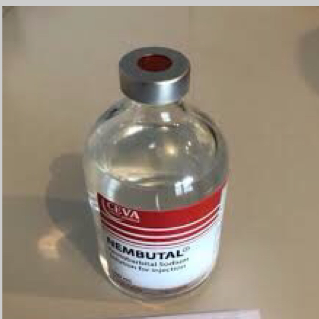 COMPRE NEMBUTAL ONLINE ( Correo electrónico: ( ) ¿Dónde puedo encontrar la solución Nembutal Pentobarbital Sodium Online? HAY ESPERANZA y puede encontrarla con