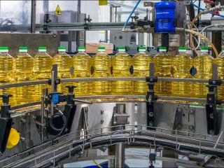 semillas de girasol de la más alta calidad de