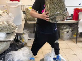Hola, Variedades de marihuana de alta calidad de muchos