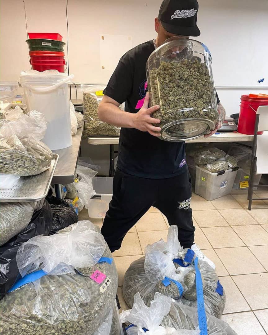 Hola, Variedades de marihuana de alta calidad de muchos tipos de rejillas AA +, SOUR DIESEL, OG KUSH, GREEN CRACK, aceite comestible y de CBD, MOONROCK, coca