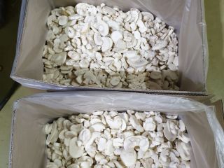 Vendo un hongo congelado de Bielorrusia. Caja 10 kg.