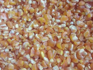 Rico en vitaminas de alta calidad Bolsas naturales puras