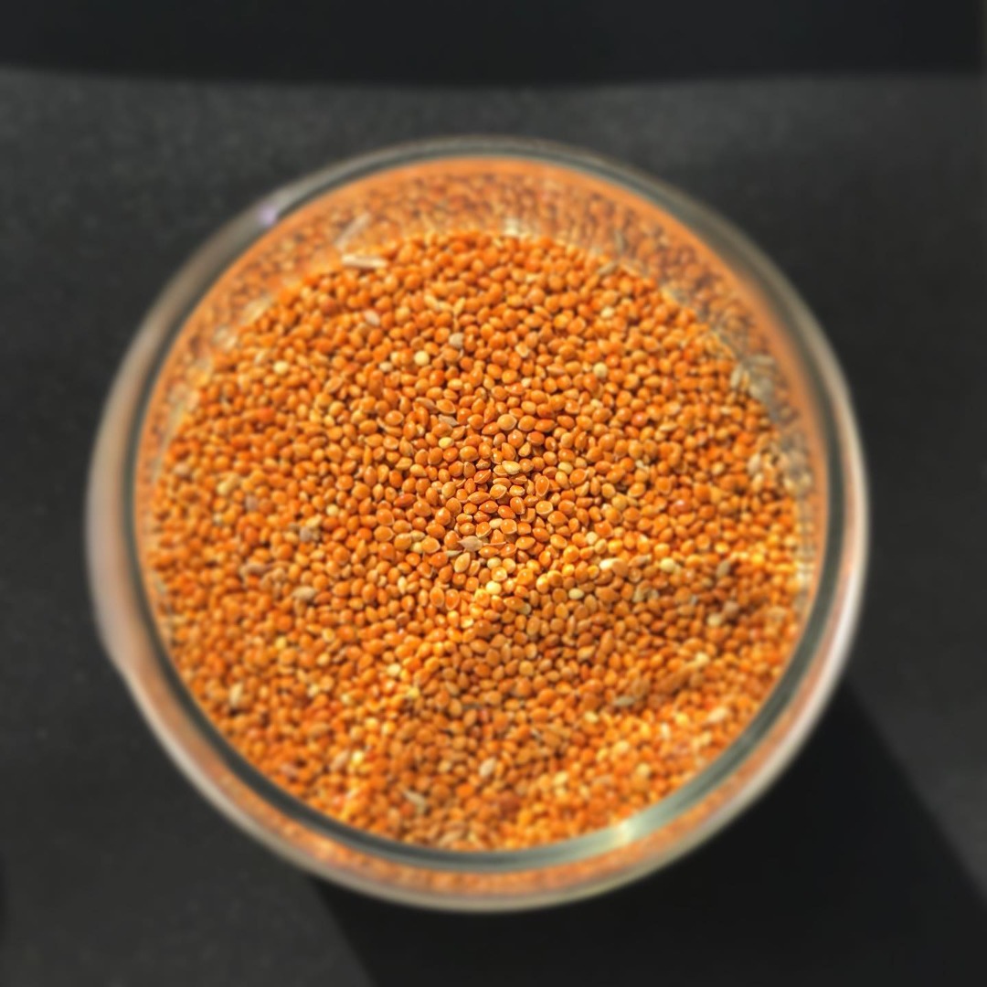 Síguenos en Instagram Humedad: max 14% Materias extrañas: max 2% Semillas peladas: max 8% Los productos van acompañados de: -Certificado de origen / EUR1