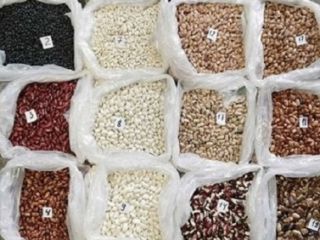 Comercio al por mayor de frijoles. Las variedades distintas