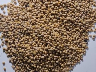 Soya OGM de Ucrania Humedad hasta 12% Proteína 36-38%