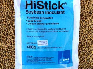 Vacuna bacteriana para el autotratamiento de semillas antes de