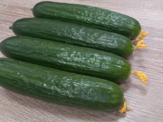 Masa lisa de pepino mediano, estándar con una flor.