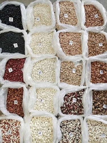 Comercio al por mayor de frijoles