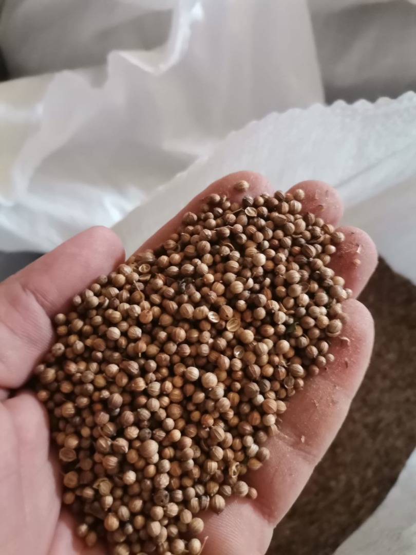 Venta de cilantro 99% de pureza, 84 toneladas