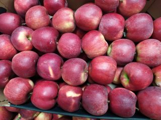 a la venta manzanas de Polonia de todo tipo.